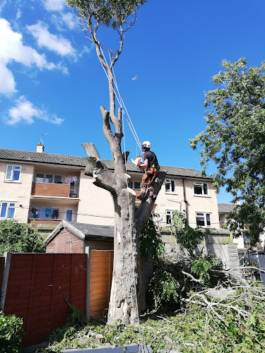 A&B Treeservices LTD