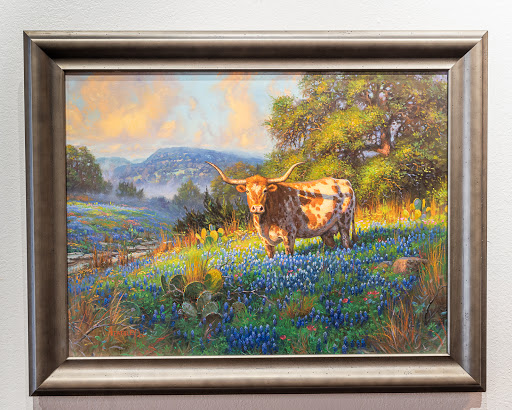 Sparrows Gallery - Visual