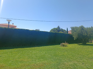 Photo n°9 de AQJ Multi-Services à Canohès (Jardinier)