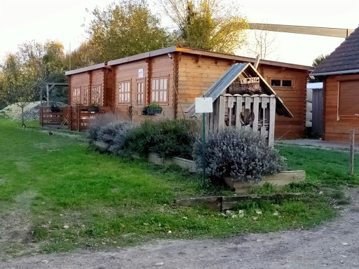 A. C. R. (Agir Combattre Réunir) - Jardin de Cocagne de Conflans Sainte Honorine - Thumbnail