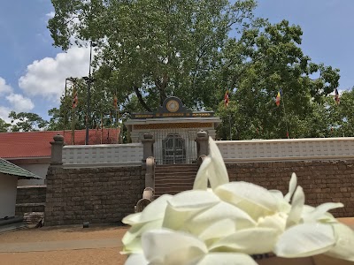 Photos of Sri Maha Bodhi