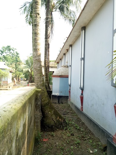 Photos of Nabipur Dakhinpara Jame Masjid