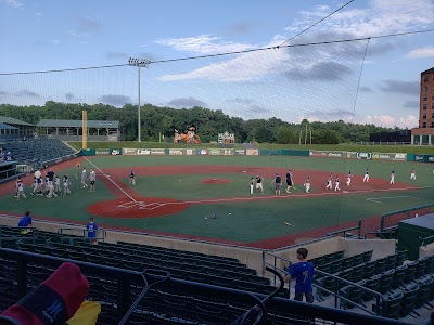 Cal Ripken Sr Yard