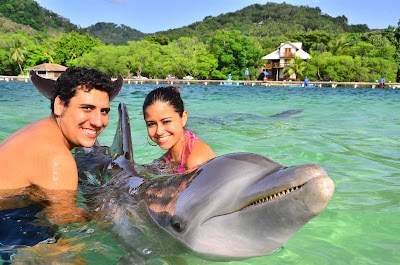 Photos of Roatan Institute for Marine Sciences