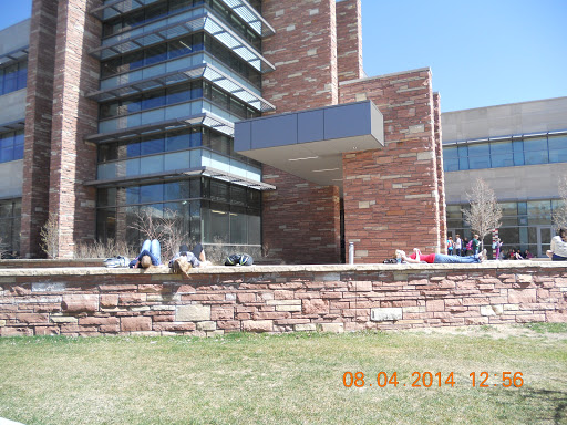 CSU Behavioral Sciences - Visual