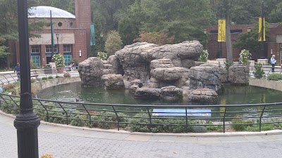 Photos of California Sea Lion Pool