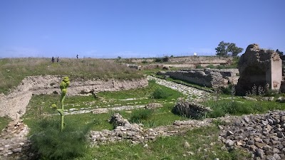 Herdonia Archaeological Excavations