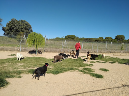 Hotel para perros Centro Canino 
