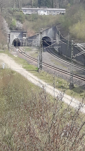 Buschtunnel, Westportal - Thumbnail