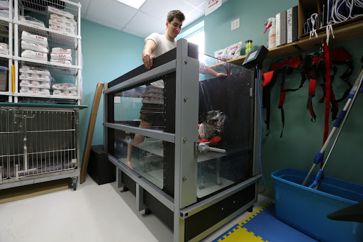 Charlotte Street Animal Hospital Gallery - United States