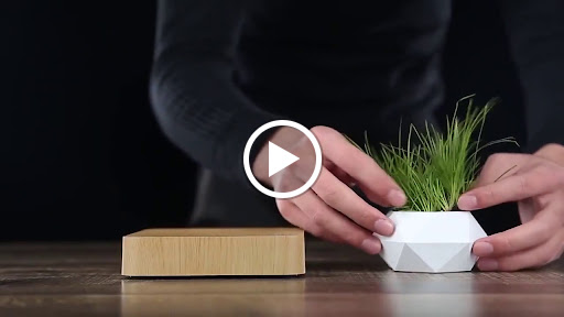 Gravity Plant - Thumbnail