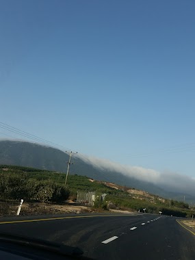 Mount Meron, Author: זיוה יוסף