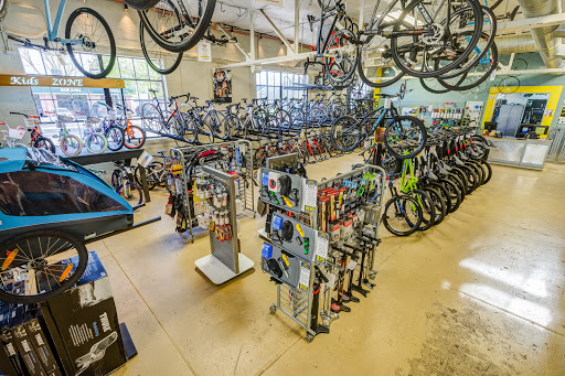 Campus Cycles - Thumbnail