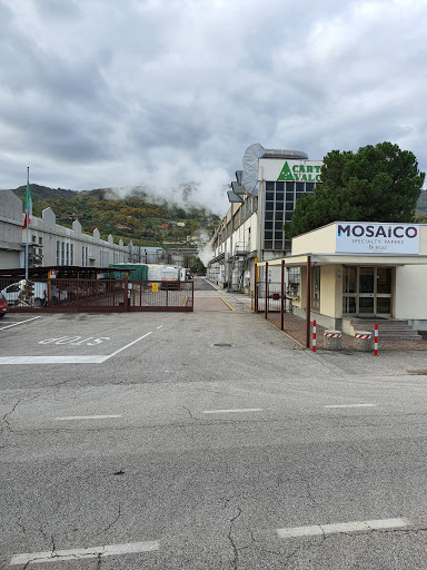 Burgo - Visual