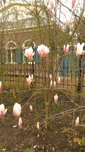 Advocaten Amsterdam Roemer Visscherstraat - Thumbnail