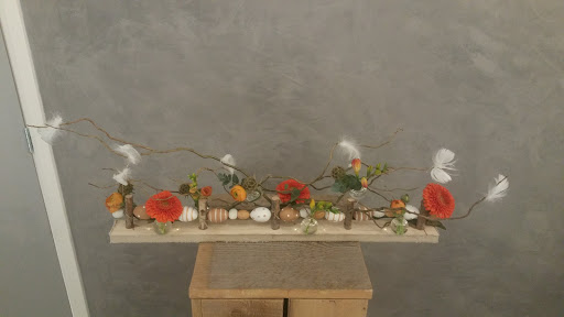 Flora Projects - Visual