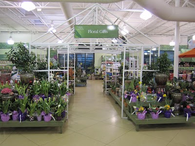 Pike Nurseries