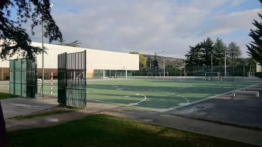 Colegio de Fomento The Redín - Thumbnail