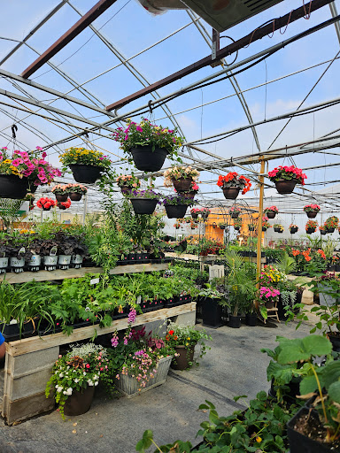 Glenlea Greenhouses Logo