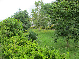 Photo n°3 de Les Gîtes du Désert à Bouguenais (Lodge)