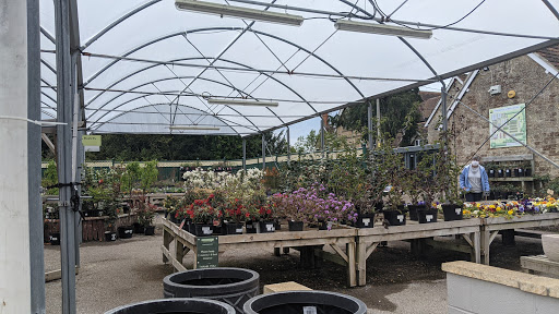 Thorngrove Garden Centre & Secret Garden Cafe - Thumbnail