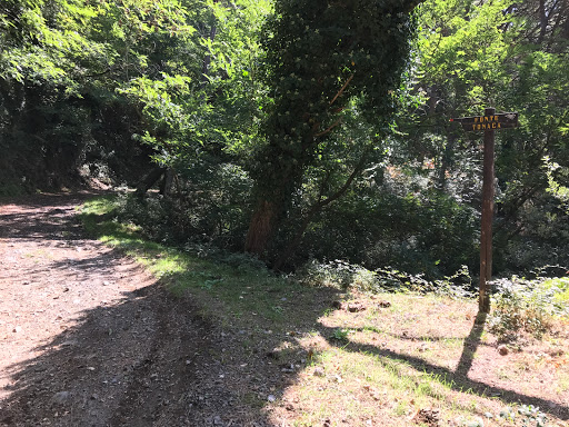 Fonte Tonacà - Visual