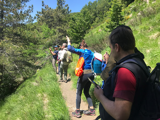 Landscape Walking Tours - Thumbnail