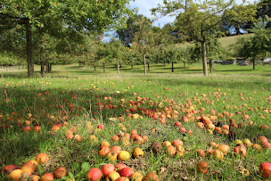 Photo n°2 de Cidrerie et Distillerie Pelletier à La Chapelle-Huon (Magasin d'alimentation naturelle)