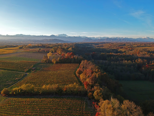 Farm Miru ' Gallery - Italy