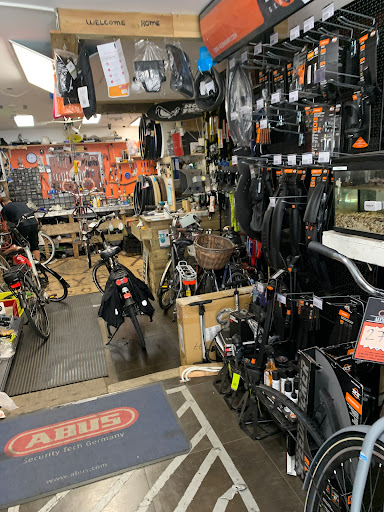 Alex Bikes & Bike rental - Thumbnail