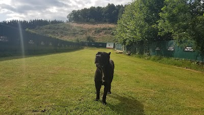 Photos of Topaz Kennels