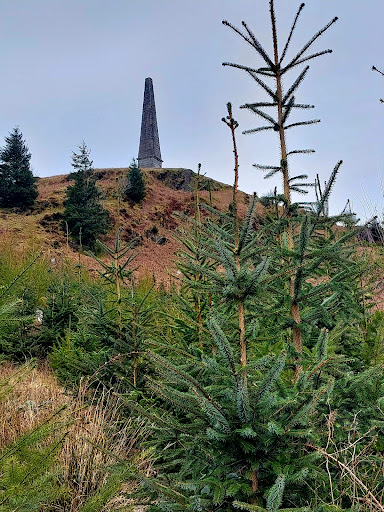 Murray's Monument - Visual