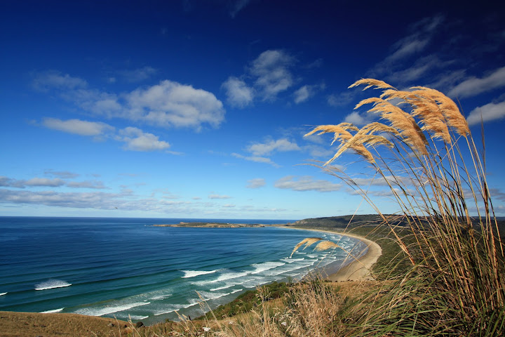 Southern Scenic Route by null