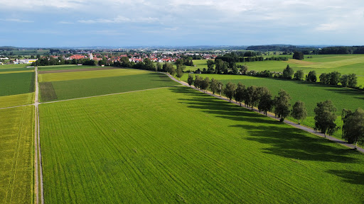 Markt Erkheim - Visual