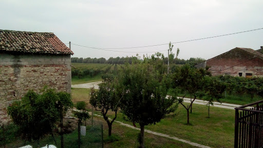 Cappellaro Luca - Thumbnail