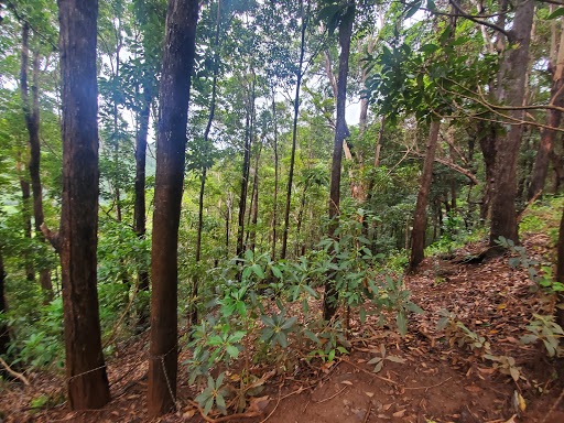 Waimano Falls - Thumbnail