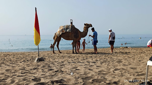 TUI TRAVELStar Reisebüro Trost, Inh. Sylvia Hermsdorf - Thumbnail