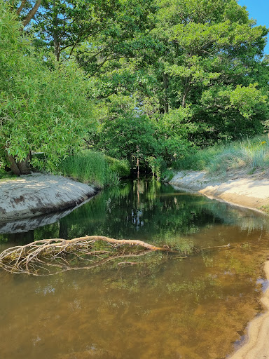 Mitt Österlen - Visual