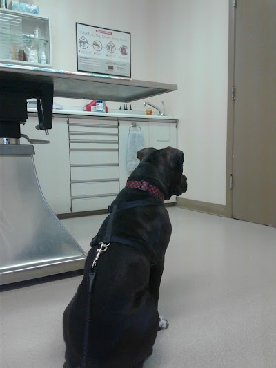 Beaumont Animal Clinic