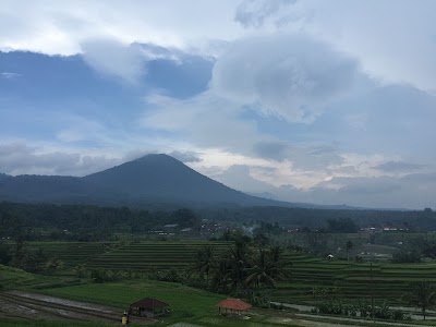 Photos of Putu Bali Driver - Tour Services