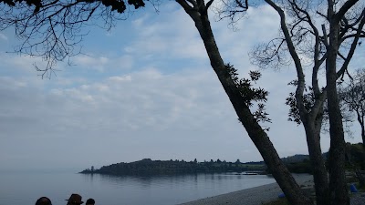 Photos of Puerto San Pedro