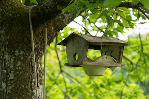Photo n°30 de La clairière de Verbamont, Camping & Cabanes à Claudon (Organisateur de mariages)