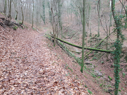 Ungeheuerklamm - Thumbnail