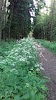 Фотография Ланг, Молодёжный переулок, Санкт-Петербург, Россия