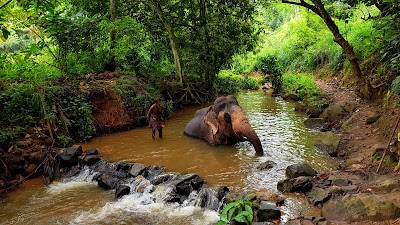 Photos of Elephant Village