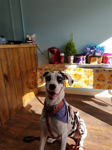 Brackett West Veterinary Clinic - Thumbnail