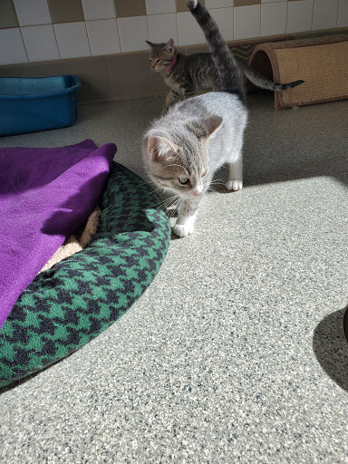 Humane Society of Douglas County - Thumbnail