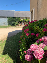 Photo n°12 de La Brosse Imbault - gîte et chambre d'hôtes à Neuvy-Deux-Clochers (Chambre d'hôtes)
