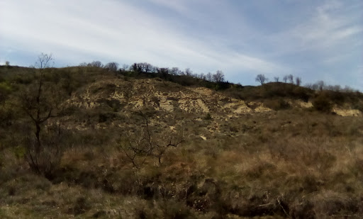 Meysse - Thumbnail