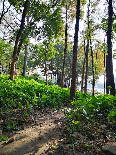 Photos of Guangzhou Youth Park Amusement Park